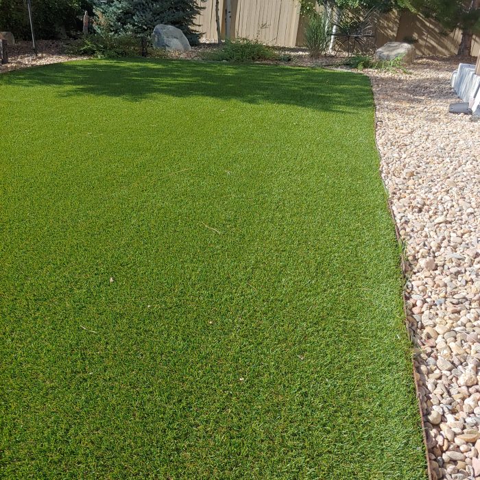 Yard After Pooper Scooper Cleaning