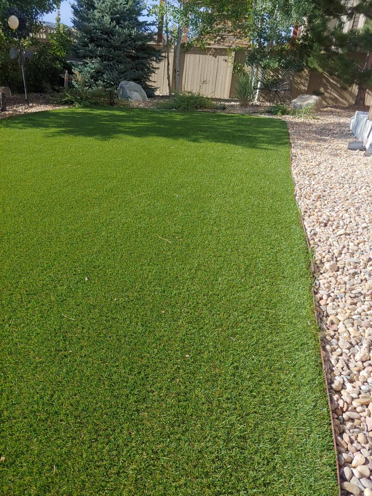 Yard After Pooper Scooper Cleaning