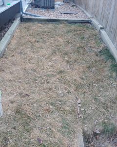 after pet waste removal