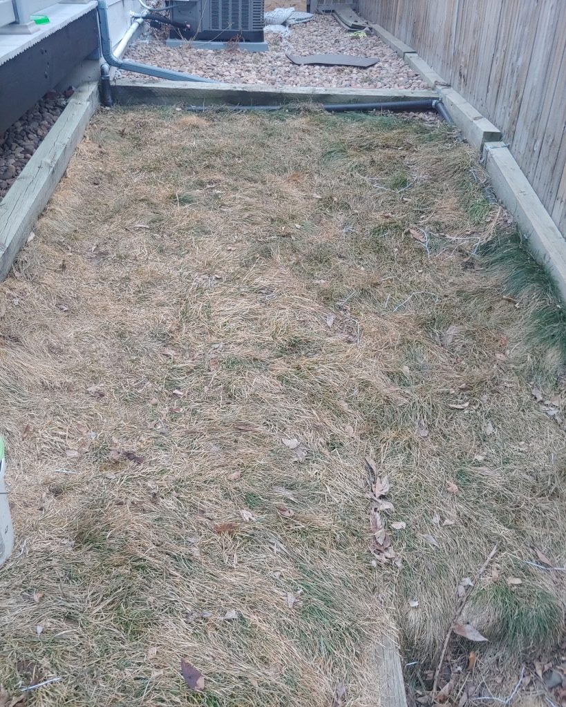 after pet waste removal