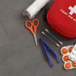 Pet First Aid 101: What Should Be in a First Aid Kit
